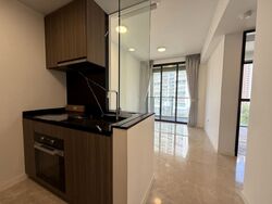 Irwell Hill Residences (D9), Apartment #539536341